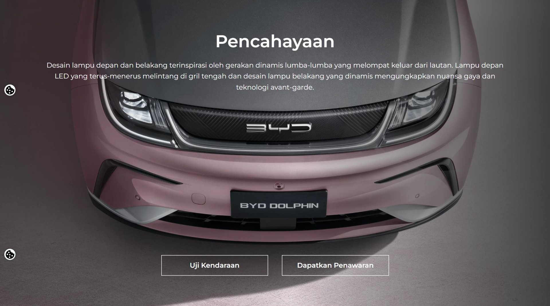 BYD Dolphin