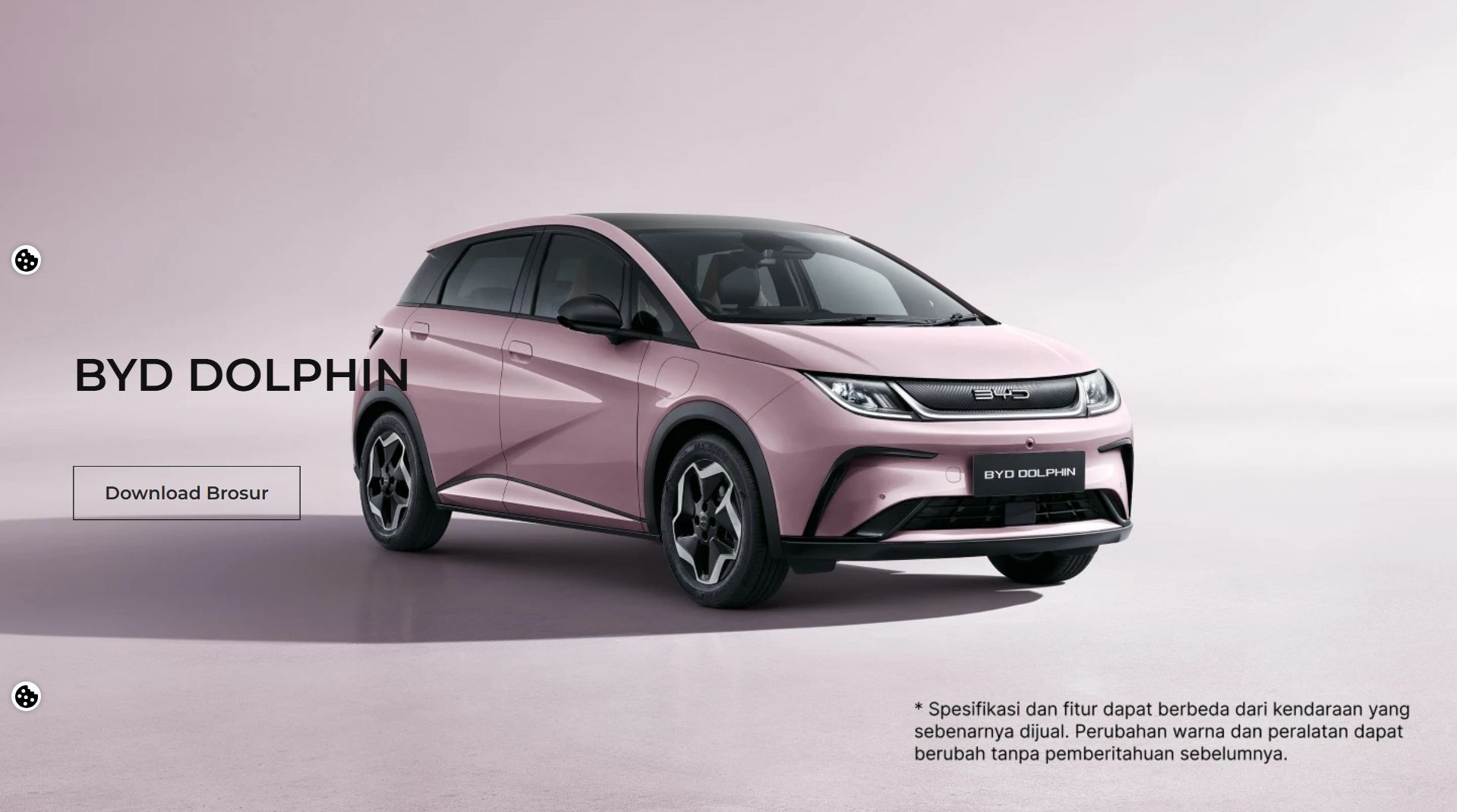 BYD Dolphin