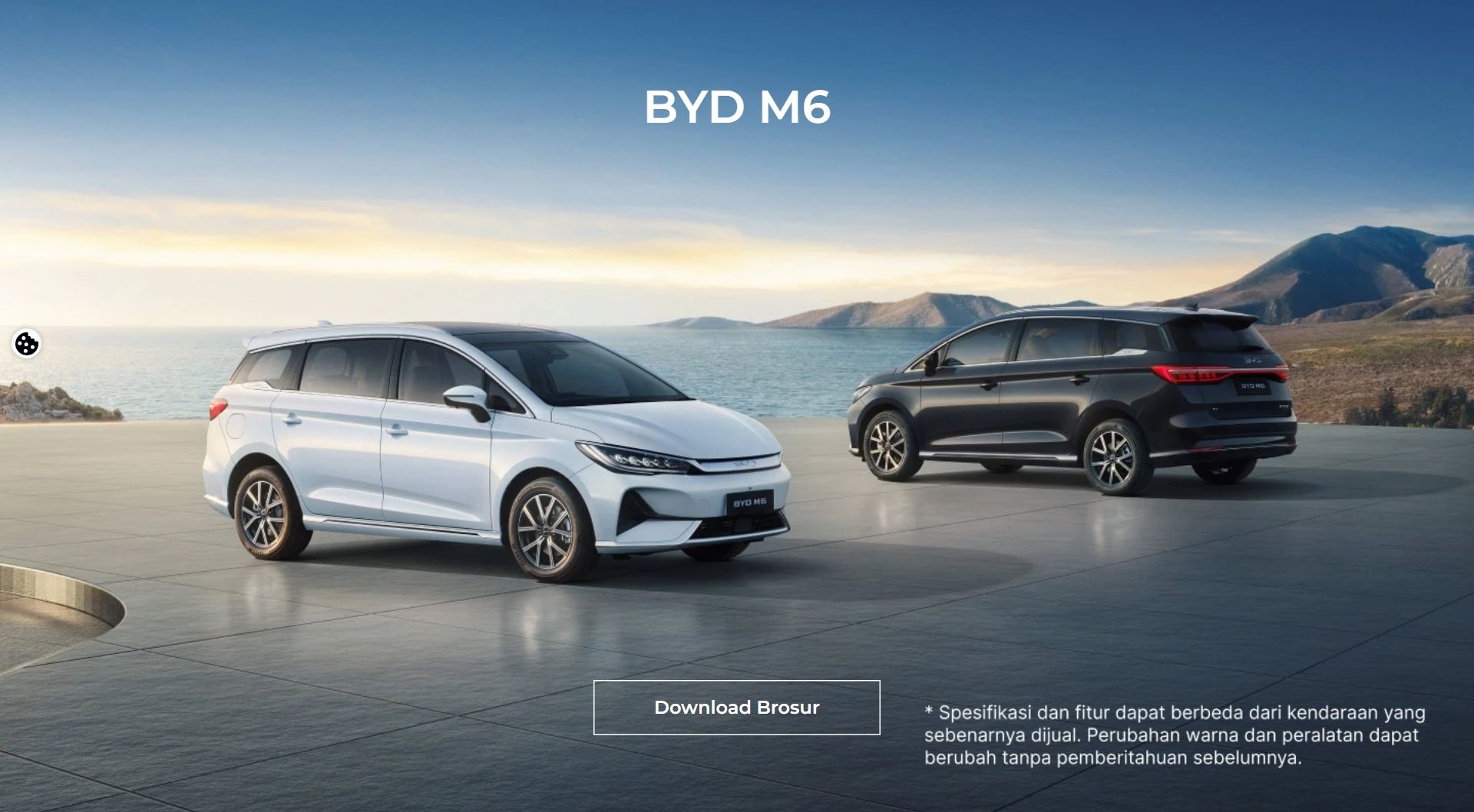 BYD M6